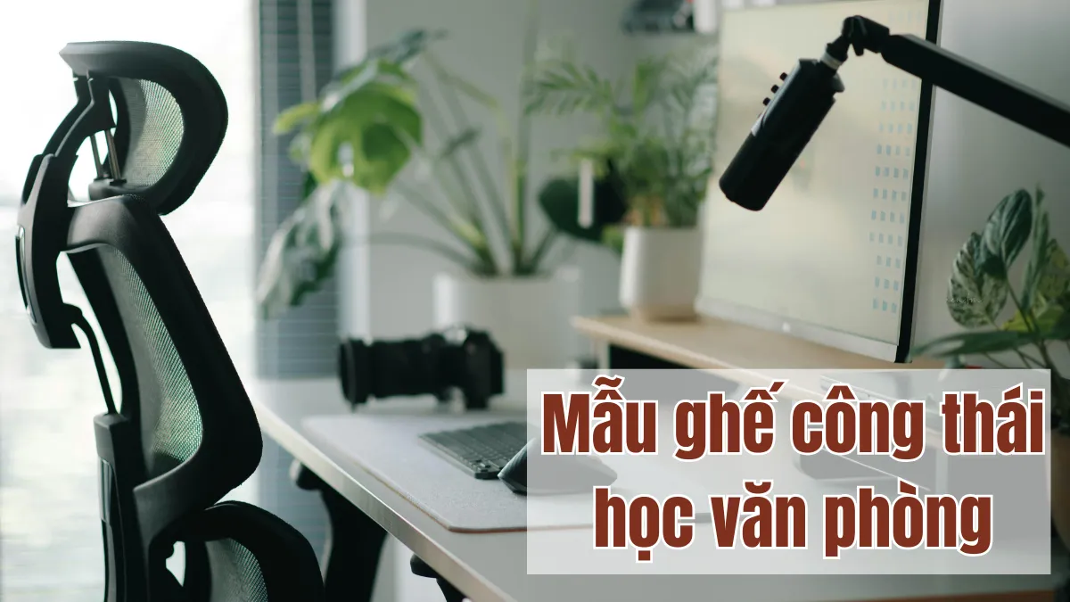 Mẫu ghế công thái học văn phòng giúp giảm đau lưng
