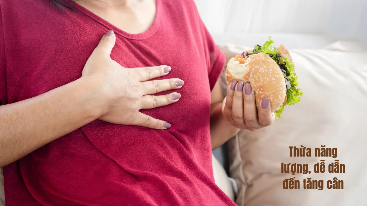 Thừa năng lượng dễ béo phì tăng cân