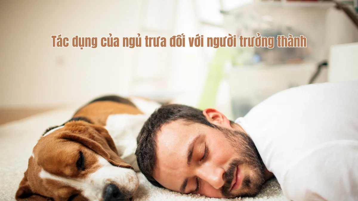 Tác dụng đối với người trưởng thành