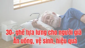 30+ ghế tựa lưng cho người già : Ăn uống, vệ sinh, hiệu quả