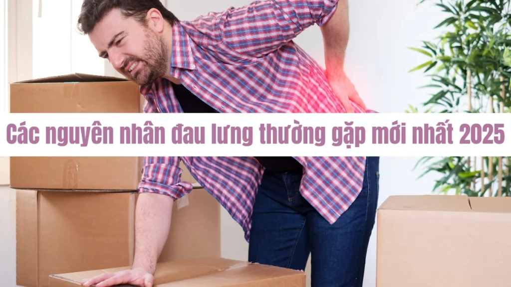 Các nguyên nhân đau lưng thường gặp mới nhất 2025