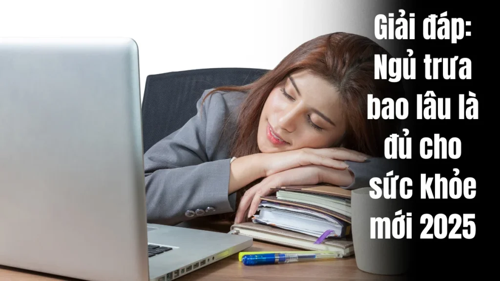 Giải đáp: Ngủ trưa bao lâu là đủ cho sức khỏe mới 2025