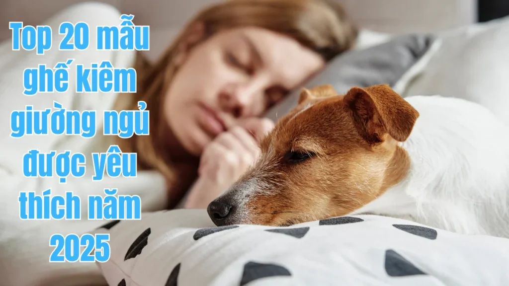 Top 20 mẫu ghế kiêm giường ngủ yêu thích 2025